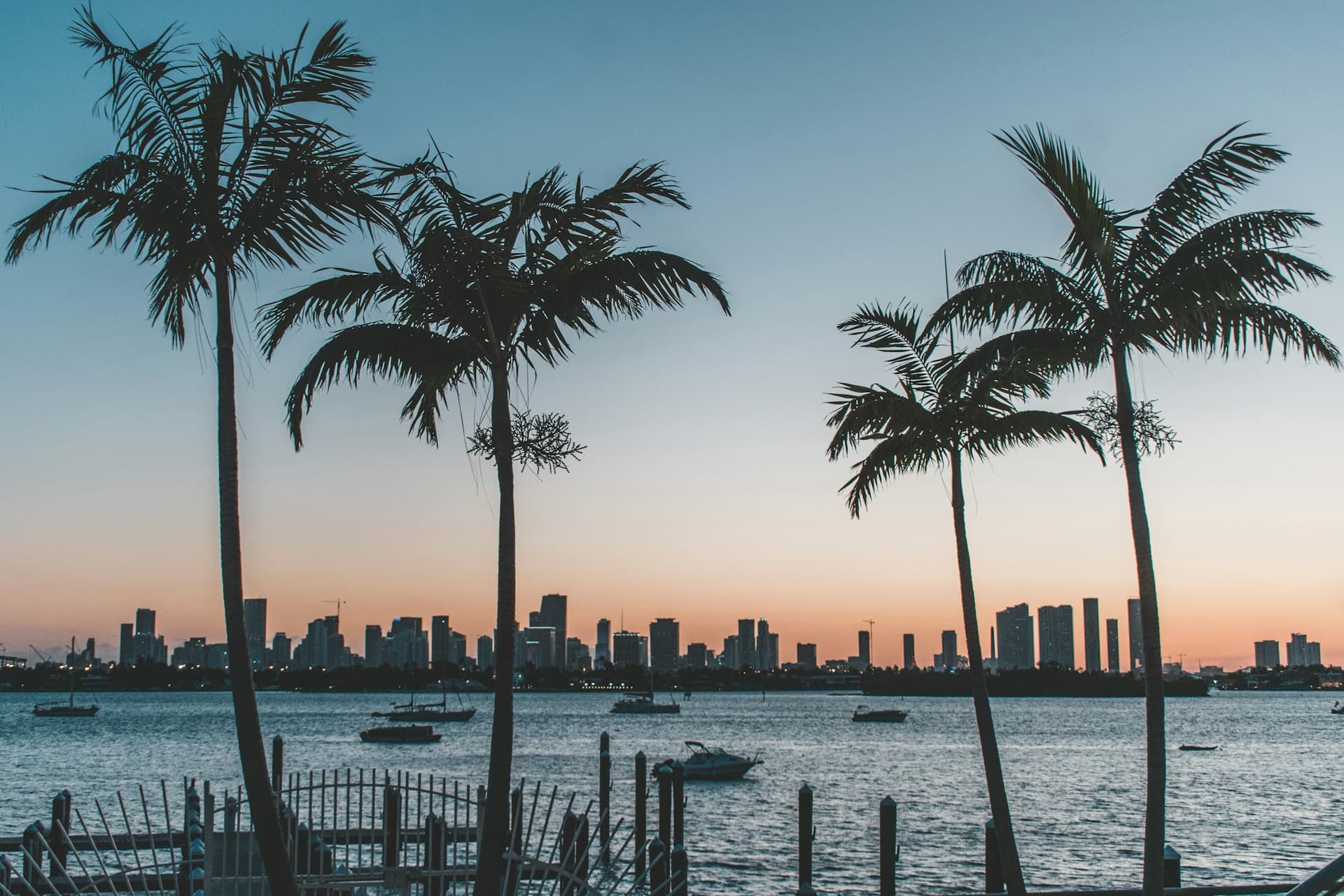 Florida landscape