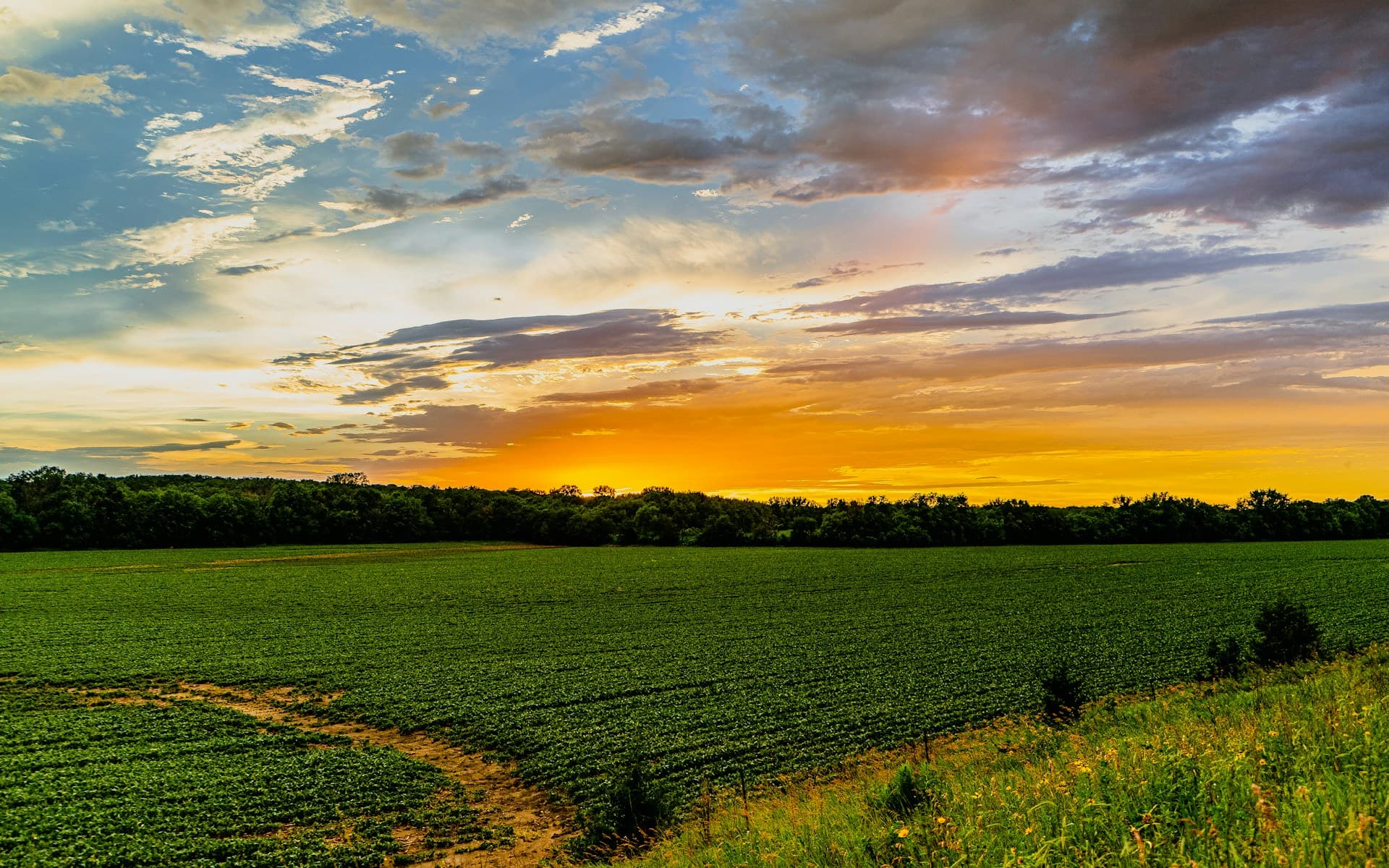 Iowa landscape