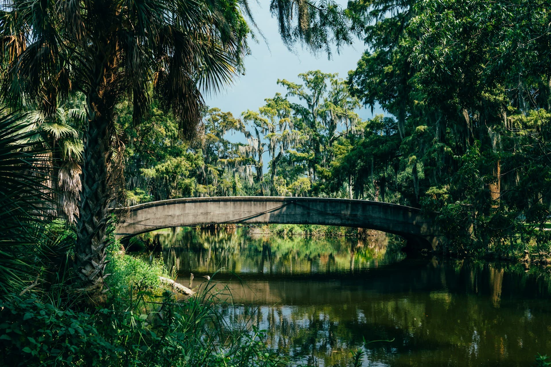 Louisiana landscape