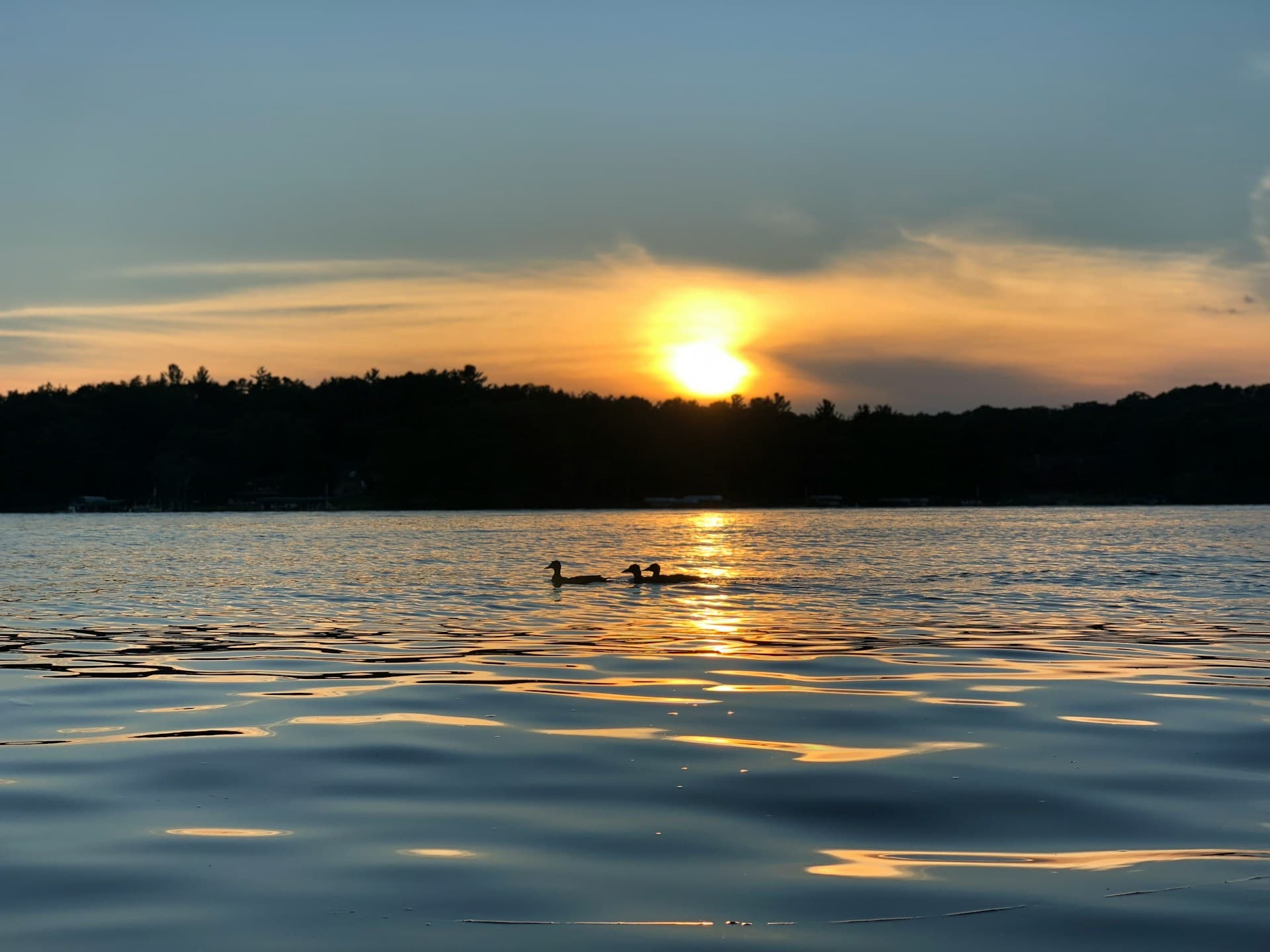 Minnesota landscape