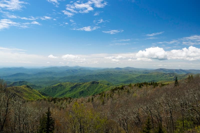 North Carolina landscape