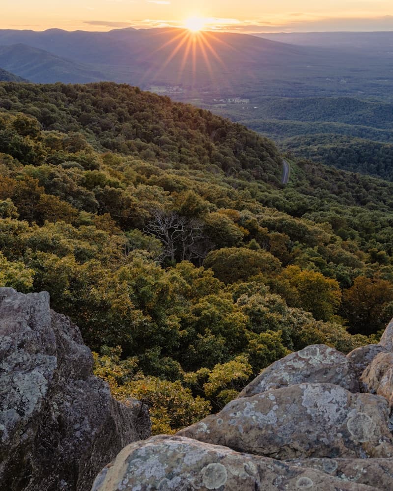 Virginia landscape